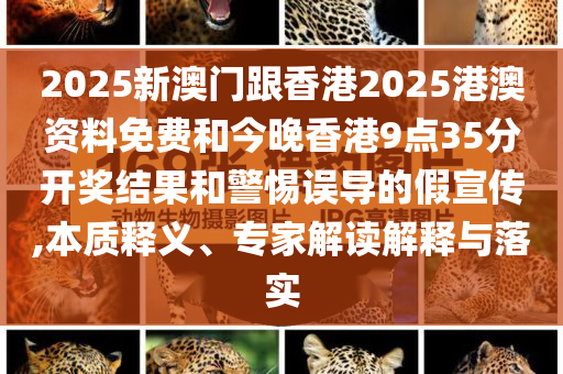 蘑菇花园最新，蘑菇花园最新动态/更新概述