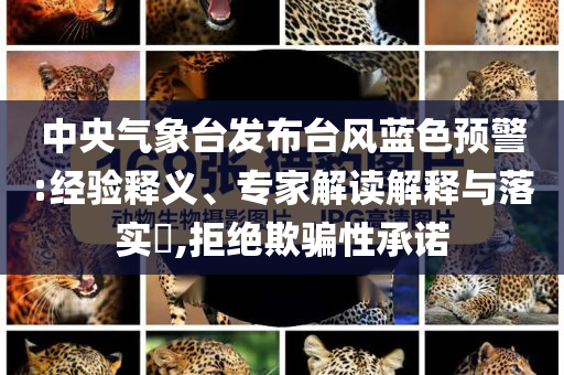 @科技家具家具育平台,定性解读说明特供_AP27.7HII7664
