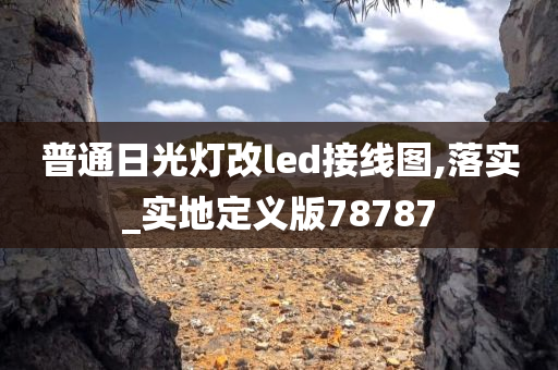 普通日光灯改led接线图,落实_实地定义版78787