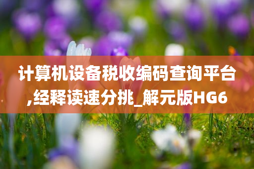 计算机设备税收编码查询平台,经释读速分挑_解元版HG6