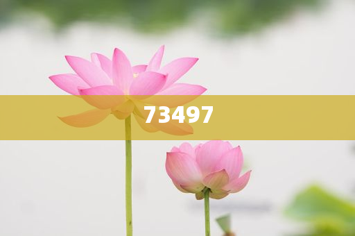 霓虹灯怎么写?,释经戏析解刻_游戏版?GH4GF89