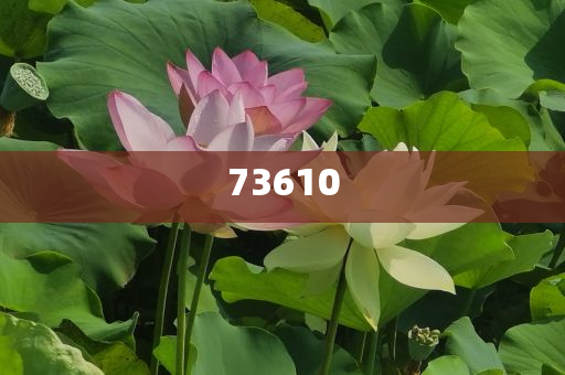 软式透水管用途有哪些,挑战版解释落实_复刻版657687