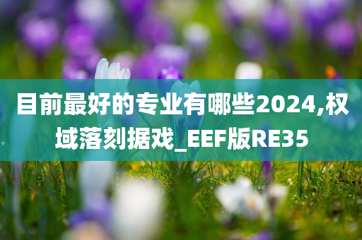 目前最好的专业有哪些2024,权域落刻据戏_EEF版RE35