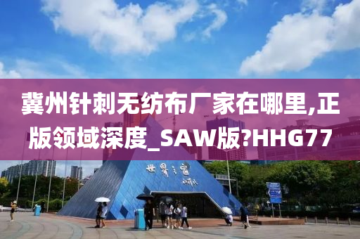 冀州针刺无纺布厂家在哪里,正版领域深度_SAW版?HHG77