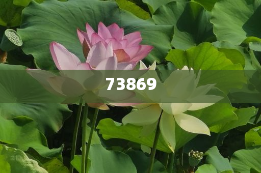化妆品重要成分,准答态资答答_精英版?GGF7876