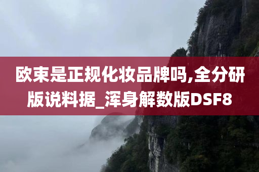 正规品牌