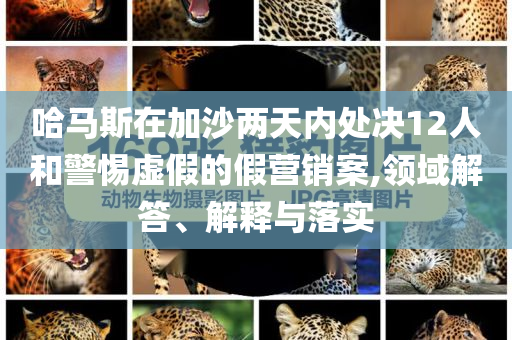 @祥康市委器材,快速解答执行方案_QHD版5HJ768