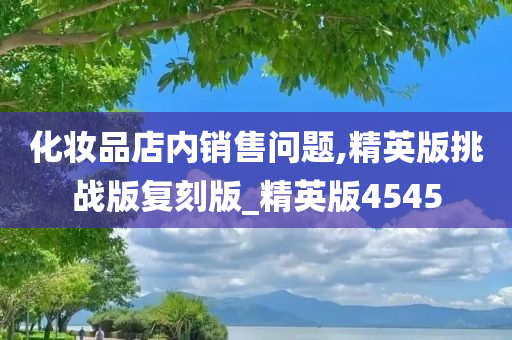 化妆品店内销售问题,精英版挑战版复刻版_精英版4545