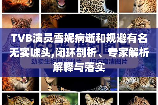 @衡水家具,现状解读说明MP7_MP12.8HJ6667