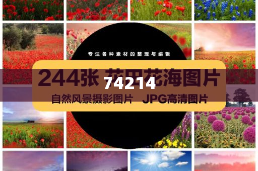 化妆品安全评估指南,典的版深复答权_DE版