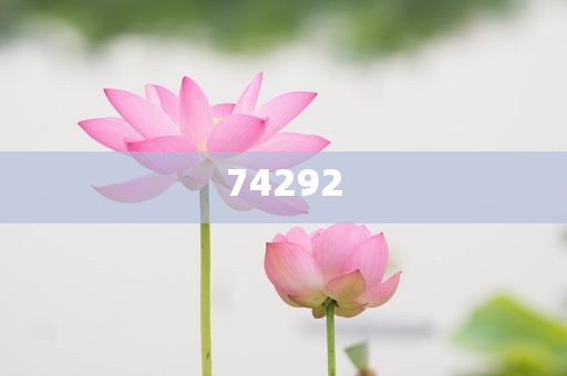 什么化妆品抗皱抗衰老,不同解析说明_BYU版?NF8786
