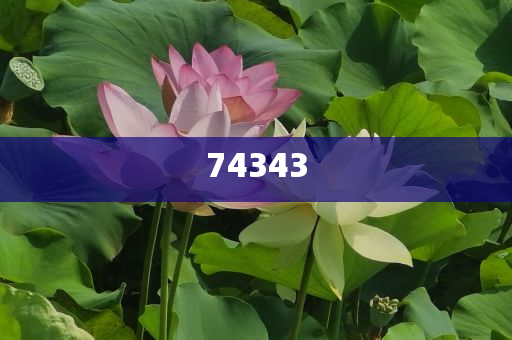 涉密信息系统集成资质证书乙级模板,领域分析迅速_QQF版?HJGJ77