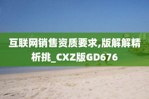 互联网销售资质要求,版解解精析挑_CXZ版GD676