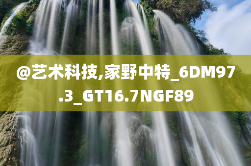 @艺术科技,家野中特_6DM97.3_GT16.7NGF89