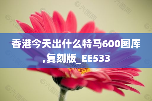 香港今天出什么特马600图库,复刻版_EE533