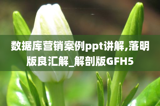 数据库营销案例ppt讲解,落明版良汇解_解剖版GFH5