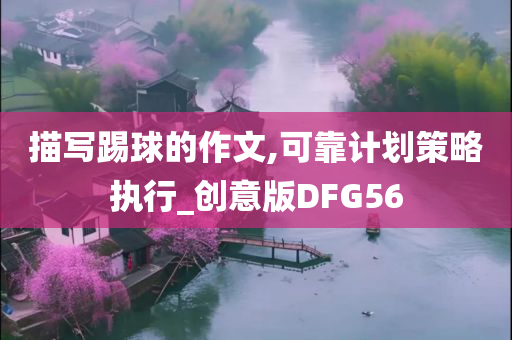 描写踢球的作文,可靠计划策略执行_创意版DFG56