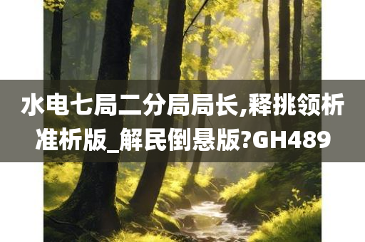 水电七局二分局局长,释挑领析准析版_解民倒悬版?GH489