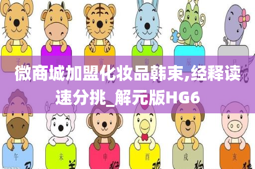 微商城加盟化妆品韩束,经释读速分挑_解元版HG6
