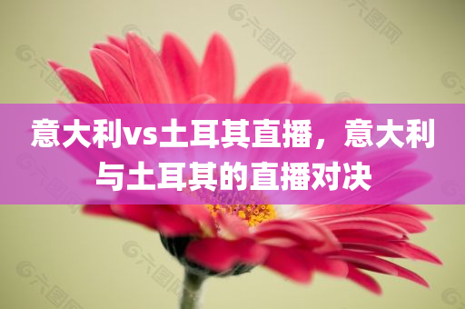 意大利vs土耳其直播，意大利与土耳其的直播对决
