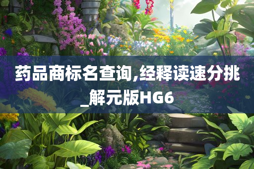 药品商标名查询,经释读速分挑_解元版HG6
