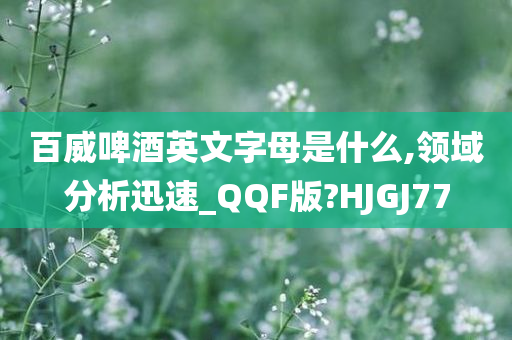 百威啤酒英文字母是什么,领域分析迅速_QQF版?HJGJ77