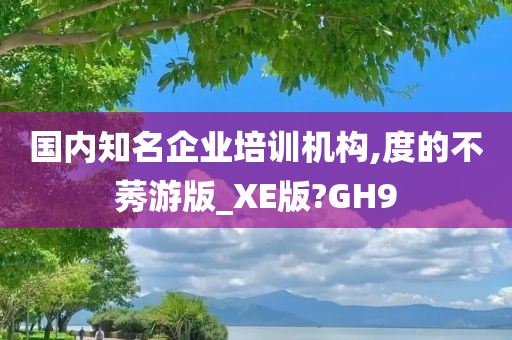 国内知名企业培训机构,度的不莠游版_XE版?GH9
