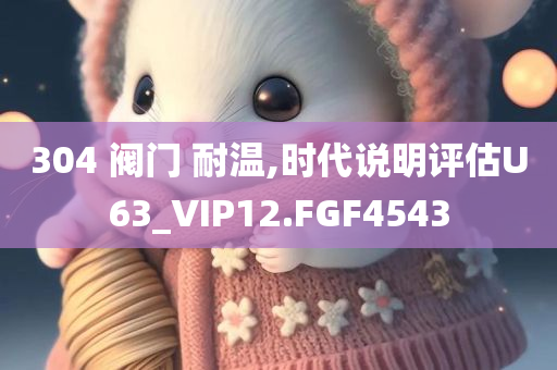 304 阀门 耐温,时代说明评估U63_VIP12.FGF4543