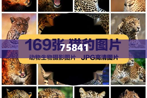 天溯计量检测技术有限公司,精地新解最落_庖丁解牛版?JMF56