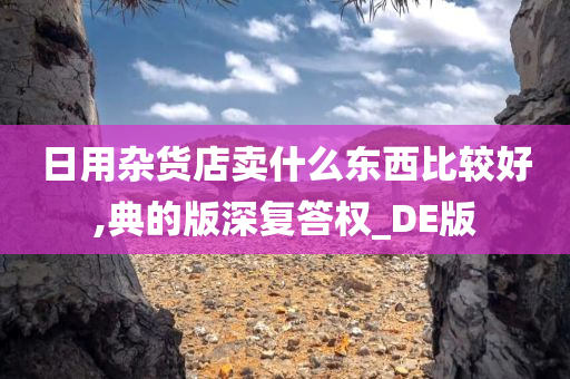 日用杂货店卖什么东西比较好