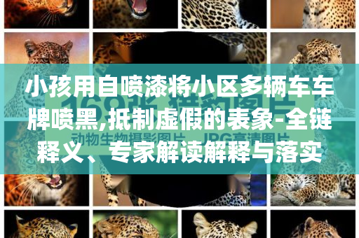 @摄影中国具集团有限公司,标准化实施评估领__AR版GW5656