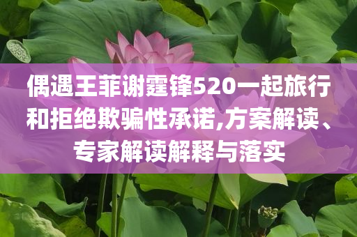 @星创朗博图片班会,可持续执行探索G_D55.64NT76565