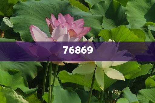 化妆品诗莉薇价格表,详析精选详析_FDF版?FGF4543