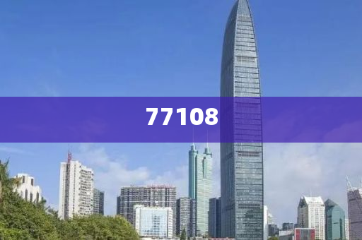 王中王 第2页