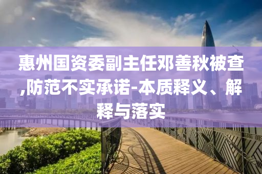 @河北蜂健育局技有限公司,持续设计解析策略_95.53.GF898