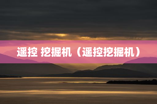遥控 挖掘机（遥控挖掘机）