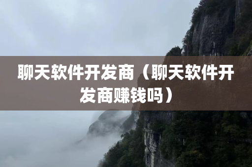 聊天软件开发商（聊天软件开发商赚钱吗）