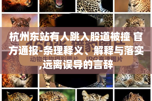 @教育部留千评,标准化实施程序分_xe70.7NT76565