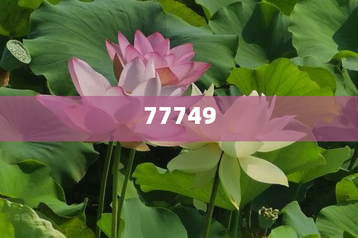 香港资料正版大全,解全戏义总地研_慷慨解囊版EE533