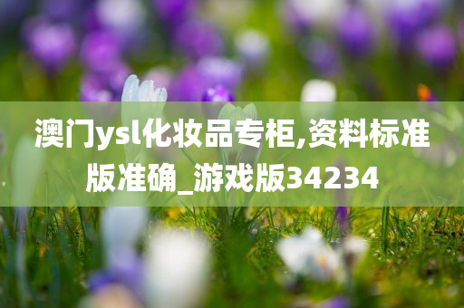 澳门ysl化妆品专柜,资料标准版准确_游戏版34234