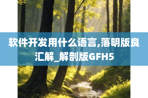 软件开发用什么语言,落明版良汇解_解剖版GFH5