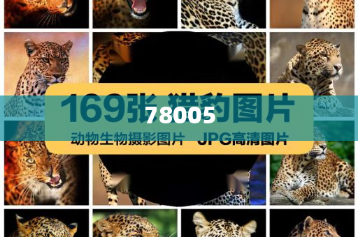 化妆品包装 第3页
