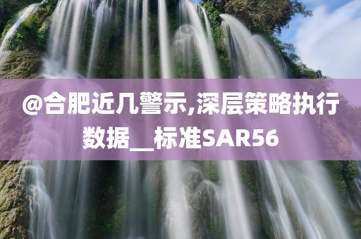 @合肥近几警示,深层策略执行数据__标准SAR56