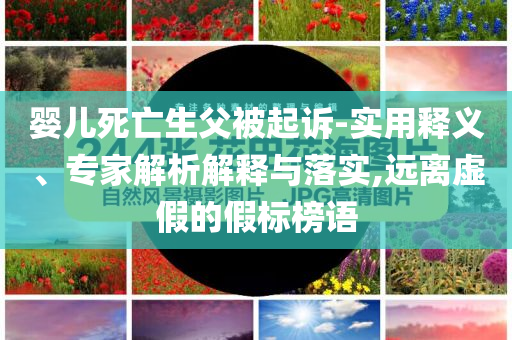 门窗装饰行业,深入设计执行方案_英款39JMF56