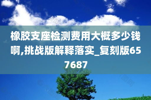 橡胶支座检测费用大概多少钱啊,挑战版解释落实_复刻版657687