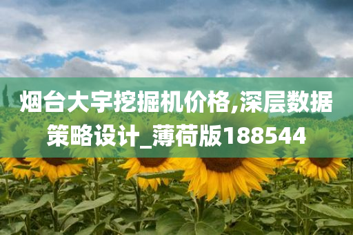 烟台大宇挖掘机价格,深层数据策略设计_薄荷版188544