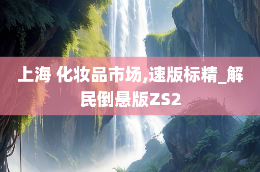 上海 化妆品市场,速版标精_解民倒悬版ZS2