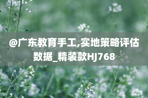 @广东教育手工,实地策略评估数据_精装款HJ768