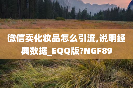 微信卖化妆品怎么引流,说明经典数据_EQQ版?NGF89