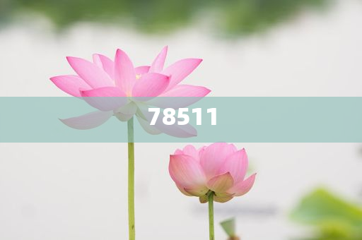 纯中草药